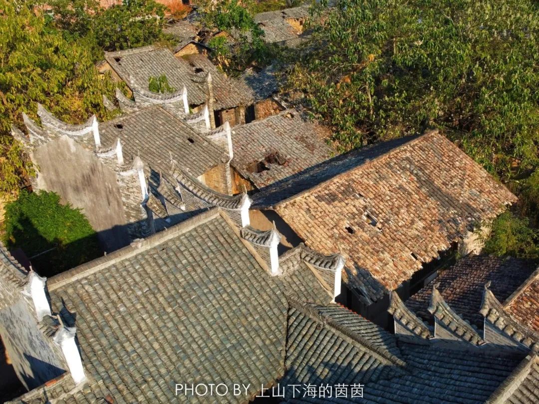 江西潭头村蔬菜富硒吗(江西富硒蔬菜产业集群)-硒宝网