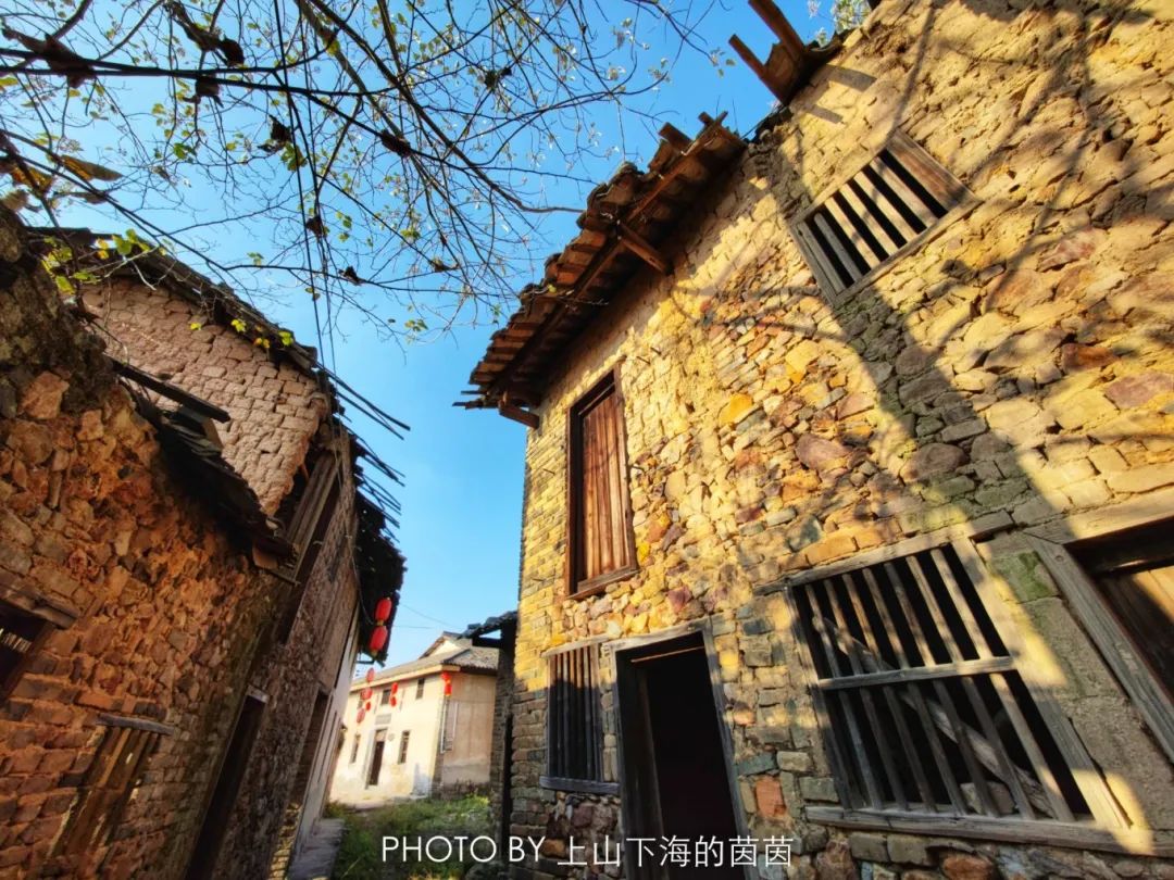 江西潭头村蔬菜富硒吗(江西富硒蔬菜产业集群)-硒宝网