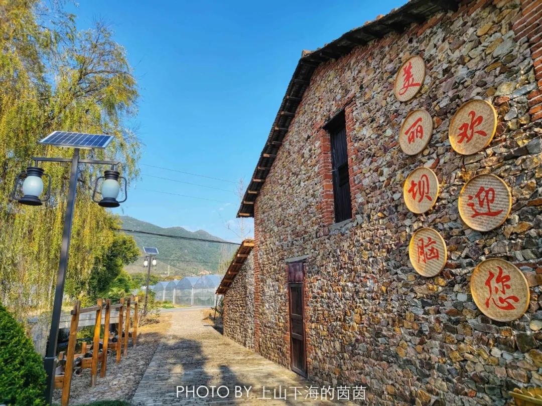 江西潭头村蔬菜富硒吗(江西富硒蔬菜产业集群)-硒宝网