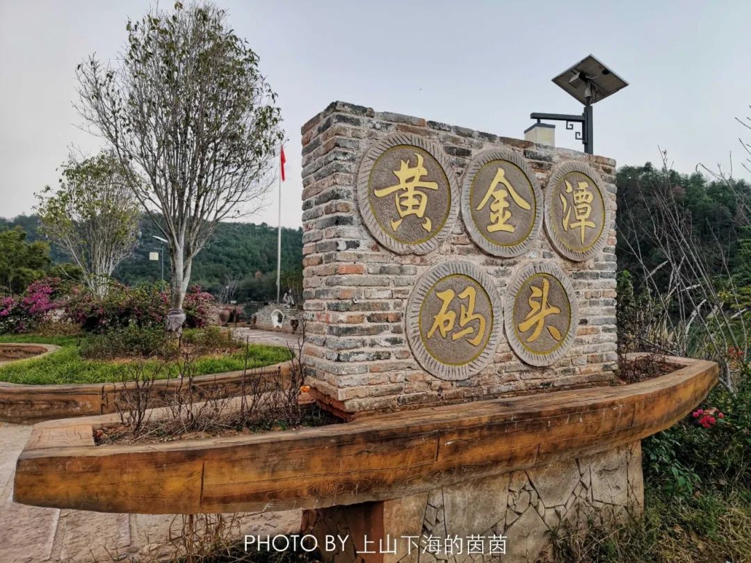 江西潭头村蔬菜富硒吗(江西富硒蔬菜产业集群)-硒宝网