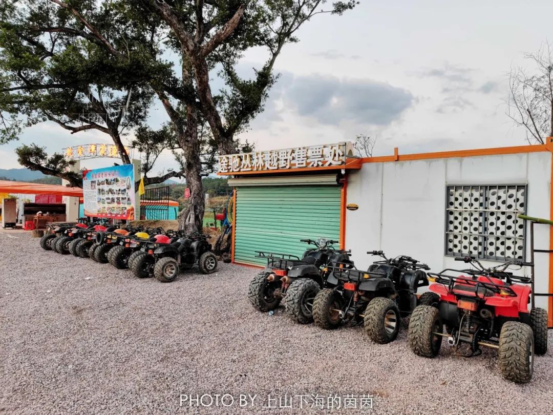 江西潭头村蔬菜富硒吗(江西富硒蔬菜产业集群)-硒宝网