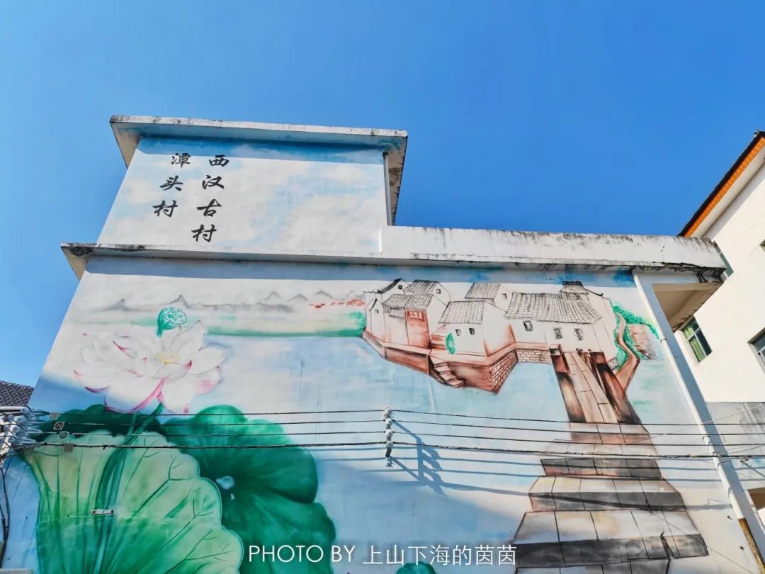 江西潭头村蔬菜富硒吗(江西富硒蔬菜产业集群)-硒宝网