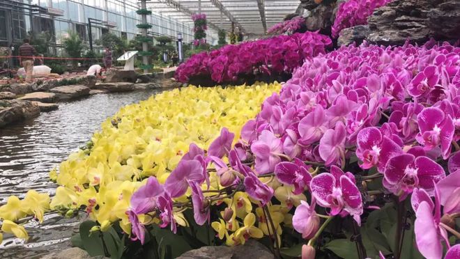 梓山镇富硒蔬菜产业园(梓山富硒蔬菜产业园发展模式)-硒宝网