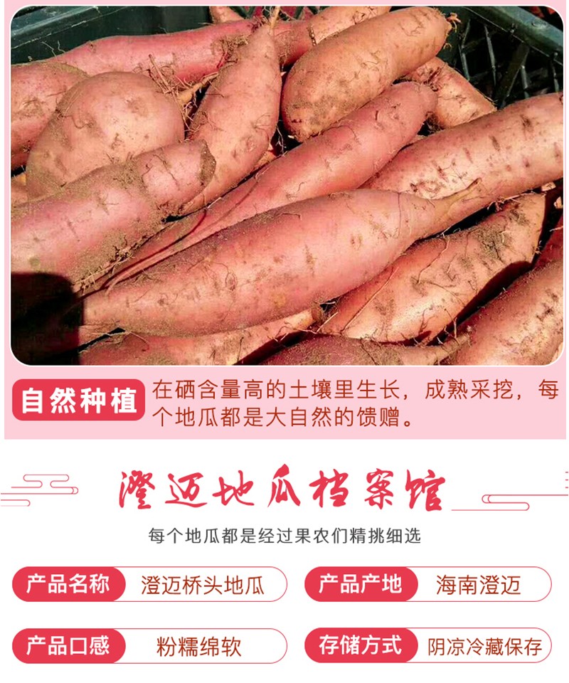 梓山镇富硒蔬菜产业园(梓山富硒蔬菜产业园发展模式)-硒宝网