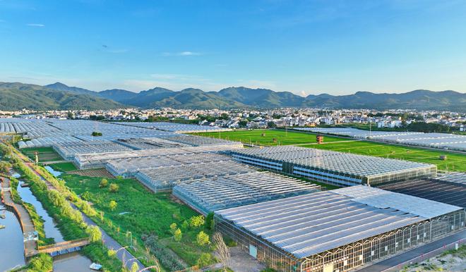 江西宁都富硒蔬菜基地(宁都县青塘镇富硒蔬菜基地)-硒宝网