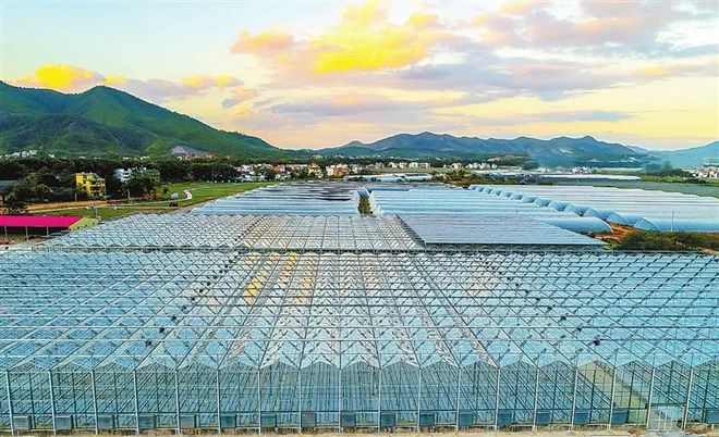 临淄富硒蔬菜种植基地（淄博富硒采摘园哪里好）-硒宝网