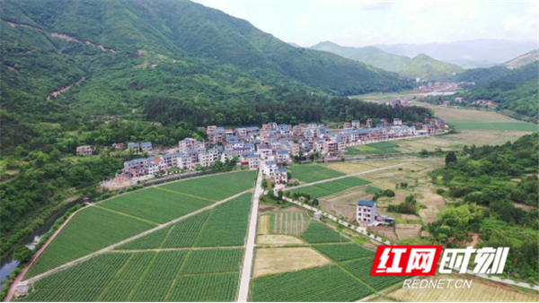 如何生产富硒蔬菜种子(蔬菜种子生产富硒产品)-硒宝网