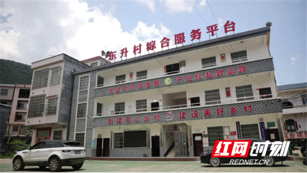 如何生产富硒蔬菜种子(蔬菜种子生产富硒产品)-硒宝网