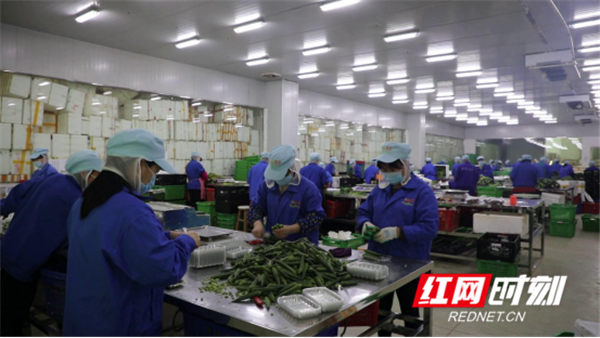 如何生产富硒蔬菜种子(蔬菜种子生产富硒产品)-硒宝网