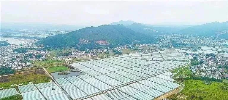 国内富硒蔬菜市场现状（富硒蔬菜价格比普通蔬菜）-硒宝网