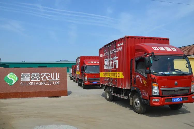 富硒蔬菜纸箱包装设计(蔬菜纸盒包装)-硒宝网