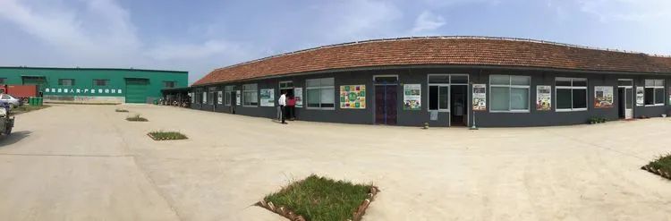 富硒蔬菜纸箱包装设计(蔬菜纸盒包装)-硒宝网