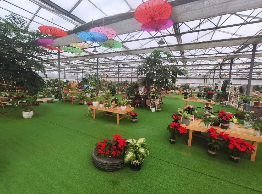 富硒蔬菜纸箱包装设计(蔬菜纸盒包装)-硒宝网