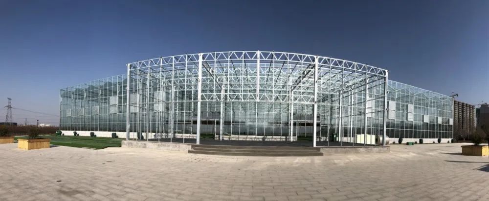 富硒蔬菜纸箱包装设计(蔬菜纸盒包装)-硒宝网