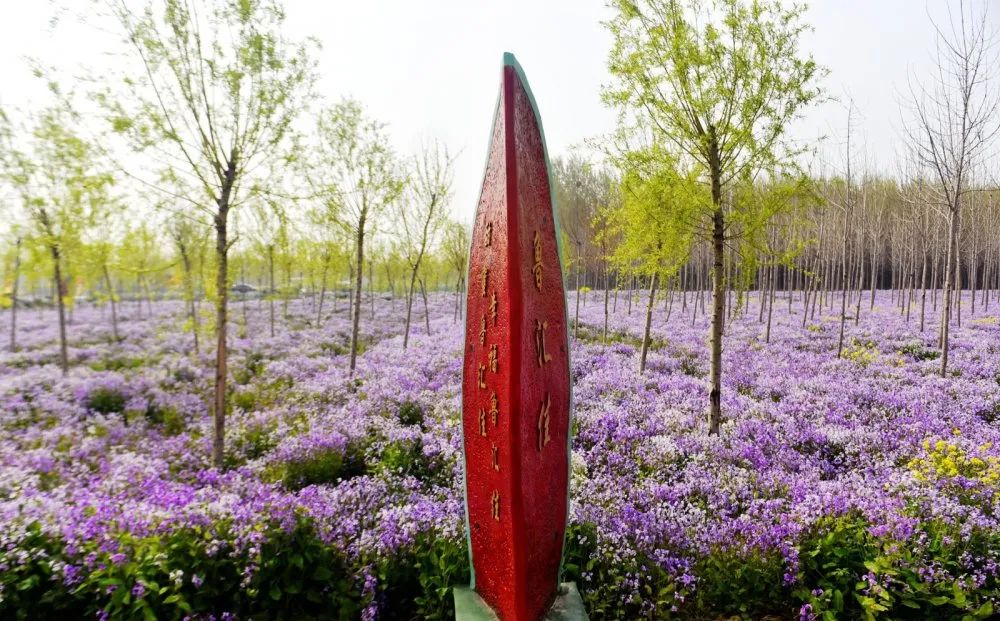 富硒蔬菜纸箱包装设计(蔬菜纸盒包装)-硒宝网