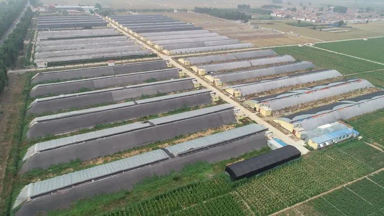 富硒蔬菜纸箱包装设计(蔬菜纸盒包装)-硒宝网