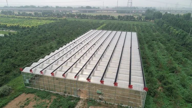 富硒蔬菜纸箱包装设计(蔬菜纸盒包装)-硒宝网