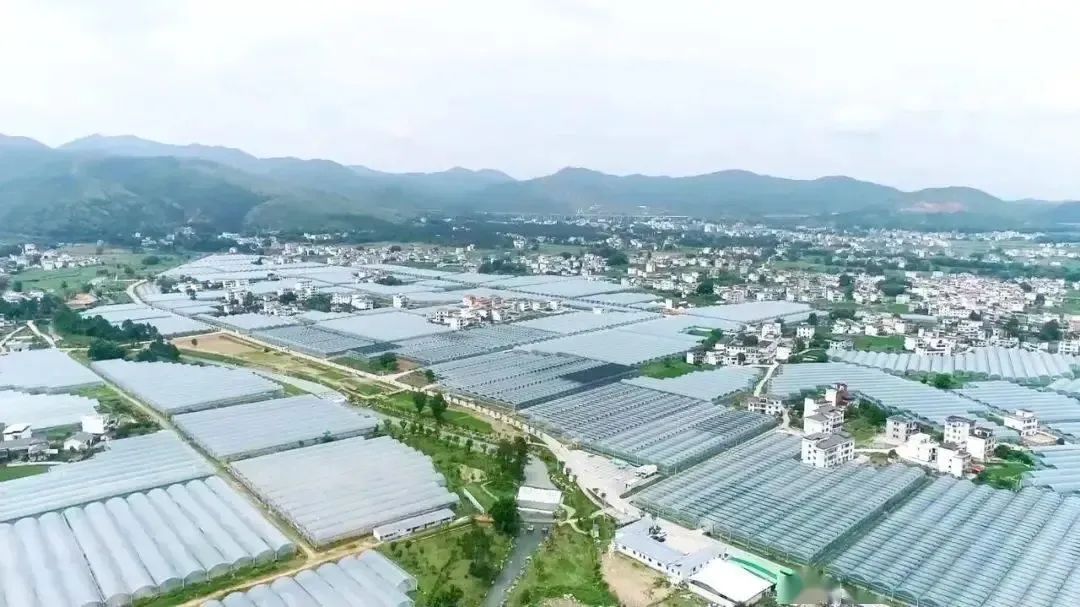 于都万亩富硒蔬菜基地(于都富硒大米)-硒宝网