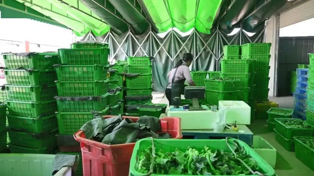 于都万亩富硒蔬菜基地(于都富硒大米)-硒宝网