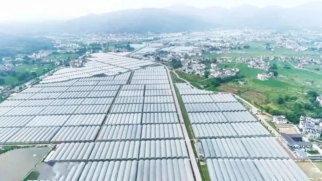 于都万亩富硒蔬菜基地(于都富硒大米)-硒宝网