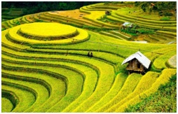 宁都县富硒蔬菜产业园(宁都县青塘镇富硒蔬菜基地)-硒宝网