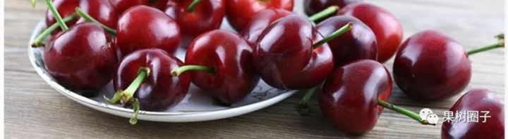 富硒蔬菜市场趋势如何（蔬菜趋势富硒市场分析）-硒宝网