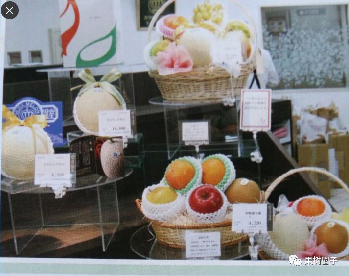 富硒蔬菜市场趋势如何（蔬菜趋势富硒市场分析）-硒宝网