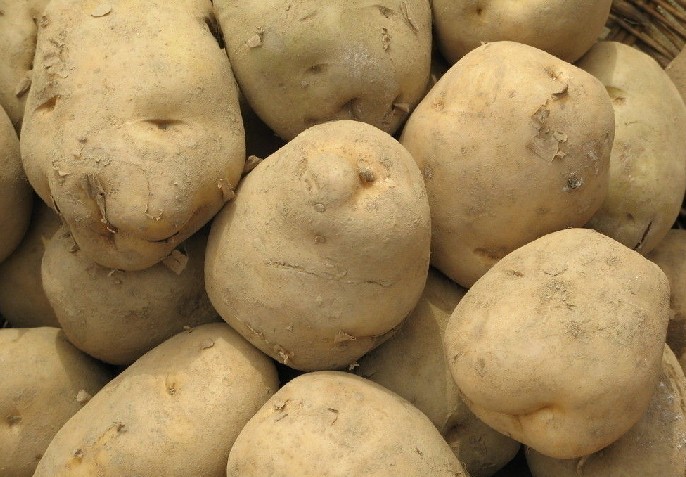 富硒蔬菜市场趋势如何（中国富硒蔬菜杂交）-硒宝网