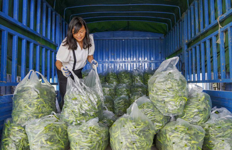 樟树市富硒蔬菜科技园（樟树特色农产品）-硒宝网