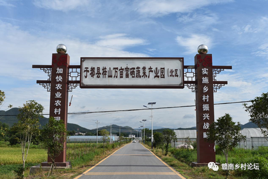 梓山万亩富硒蔬菜基地（梓山蔬菜基地门票多少）-硒宝网