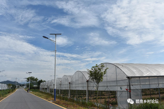 梓山万亩富硒蔬菜基地（梓山蔬菜基地门票多少）-硒宝网