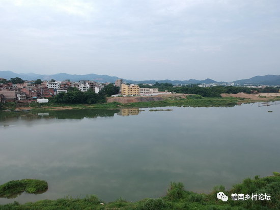 梓山万亩富硒蔬菜基地（梓山蔬菜基地门票多少）-硒宝网