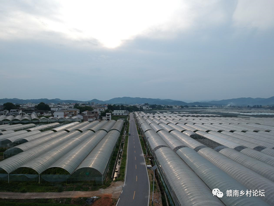 梓山万亩富硒蔬菜基地（梓山蔬菜基地门票多少）-硒宝网