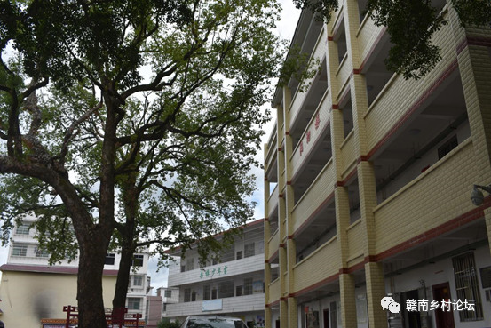 梓山万亩富硒蔬菜基地（梓山蔬菜基地门票多少）-硒宝网