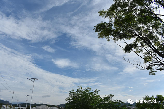 梓山万亩富硒蔬菜基地（梓山蔬菜基地门票多少）-硒宝网