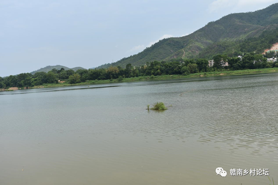梓山万亩富硒蔬菜基地（梓山蔬菜基地门票多少）-硒宝网