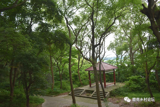 梓山万亩富硒蔬菜基地（梓山蔬菜基地门票多少）-硒宝网