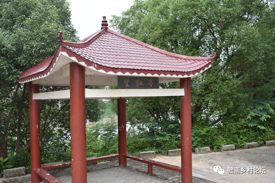 梓山万亩富硒蔬菜基地（梓山蔬菜基地门票多少）-硒宝网