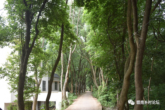 梓山万亩富硒蔬菜基地（梓山蔬菜基地门票多少）-硒宝网