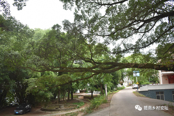 梓山万亩富硒蔬菜基地（梓山蔬菜基地门票多少）-硒宝网