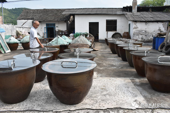 梓山万亩富硒蔬菜基地（梓山蔬菜基地门票多少）-硒宝网