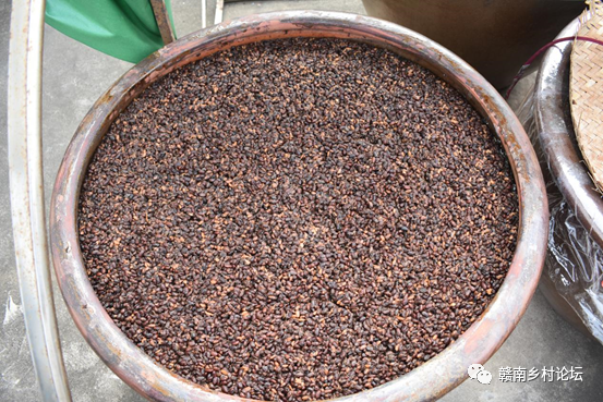 梓山万亩富硒蔬菜基地（梓山蔬菜基地门票多少）-硒宝网