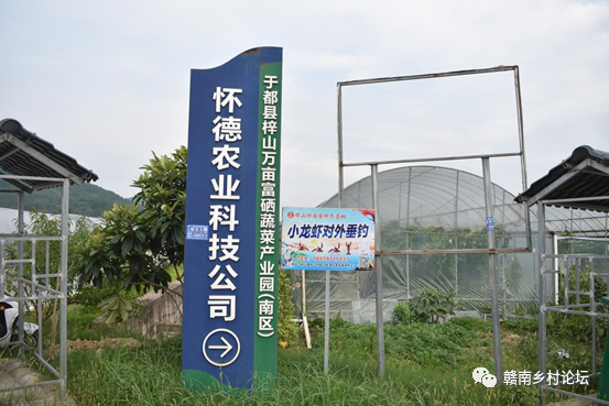 梓山万亩富硒蔬菜基地（梓山蔬菜基地门票多少）-硒宝网