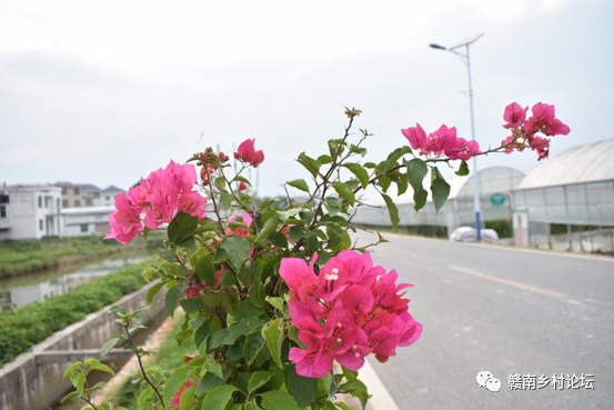 梓山万亩富硒蔬菜基地（梓山蔬菜基地门票多少）-硒宝网