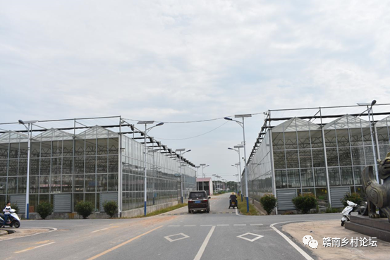 梓山万亩富硒蔬菜基地（梓山蔬菜基地门票多少）-硒宝网