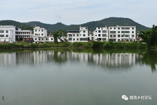 梓山万亩富硒蔬菜基地（梓山蔬菜基地门票多少）-硒宝网