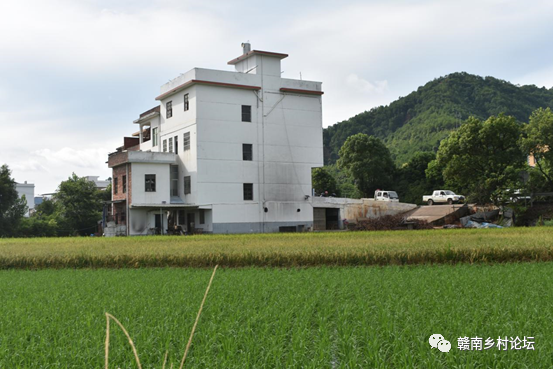 梓山万亩富硒蔬菜基地（梓山蔬菜基地门票多少）-硒宝网
