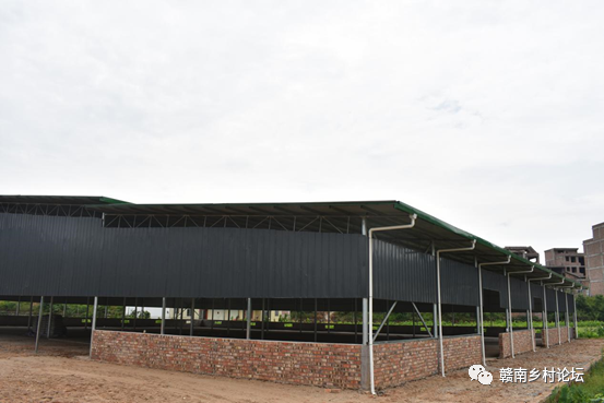 梓山万亩富硒蔬菜基地（梓山蔬菜基地门票多少）-硒宝网