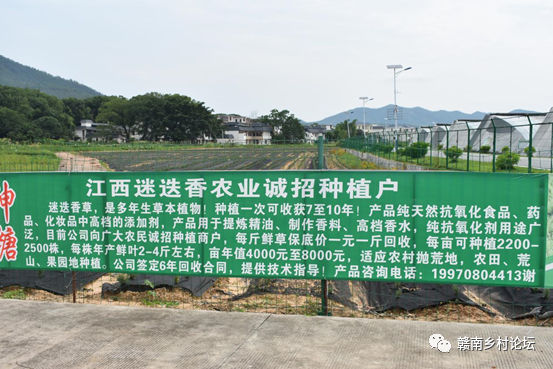 梓山万亩富硒蔬菜基地（梓山蔬菜基地门票多少）-硒宝网