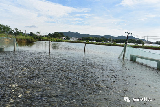 梓山万亩富硒蔬菜基地（梓山蔬菜基地门票多少）-硒宝网